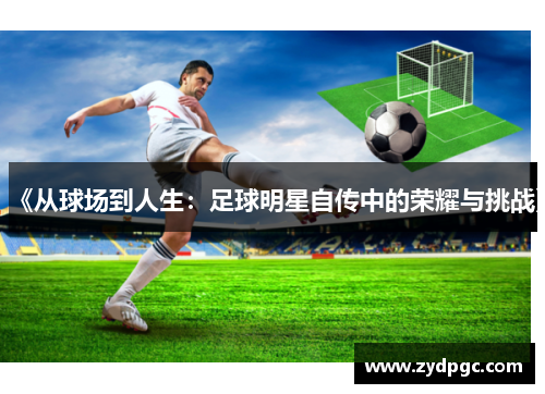 《从球场到人生：足球明星自传中的荣耀与挑战》
