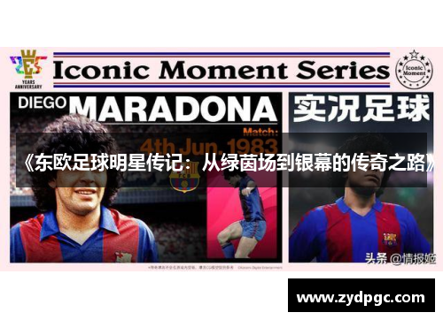 《东欧足球明星传记：从绿茵场到银幕的传奇之路》