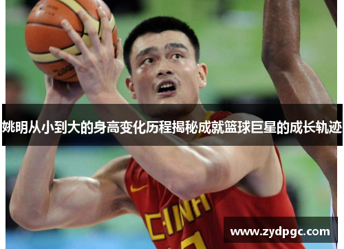 姚明从小到大的身高变化历程揭秘成就篮球巨星的成长轨迹