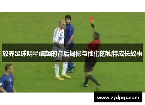 放养足球明星崛起的背后揭秘与他们的独特成长故事