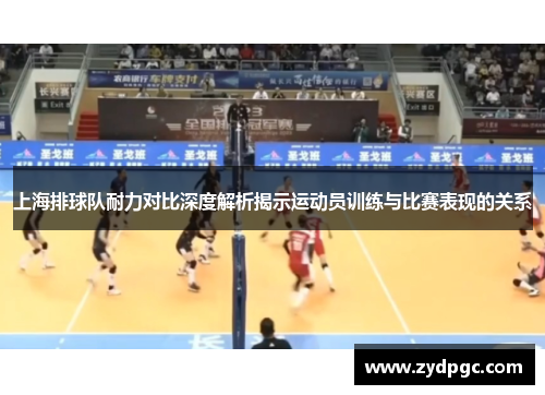 上海排球队耐力对比深度解析揭示运动员训练与比赛表现的关系
