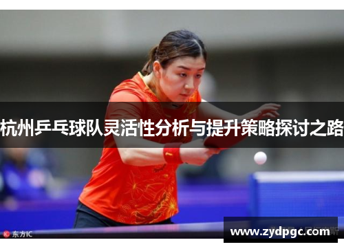 杭州乒乓球队灵活性分析与提升策略探讨之路