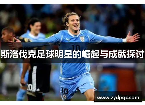 斯洛伐克足球明星的崛起与成就探讨