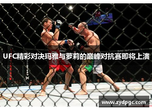 UFC精彩对决玛雅与萝莉的巅峰对抗赛即将上演